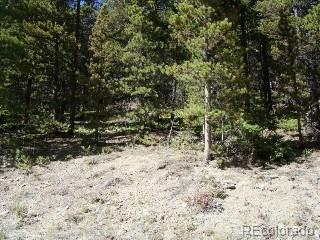 Lot 680 Alice Road Idaho Springs CO 80453