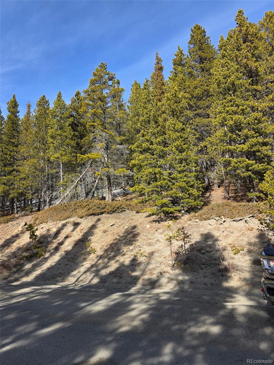 Lot 680 Alice Road Idaho Springs CO 80453