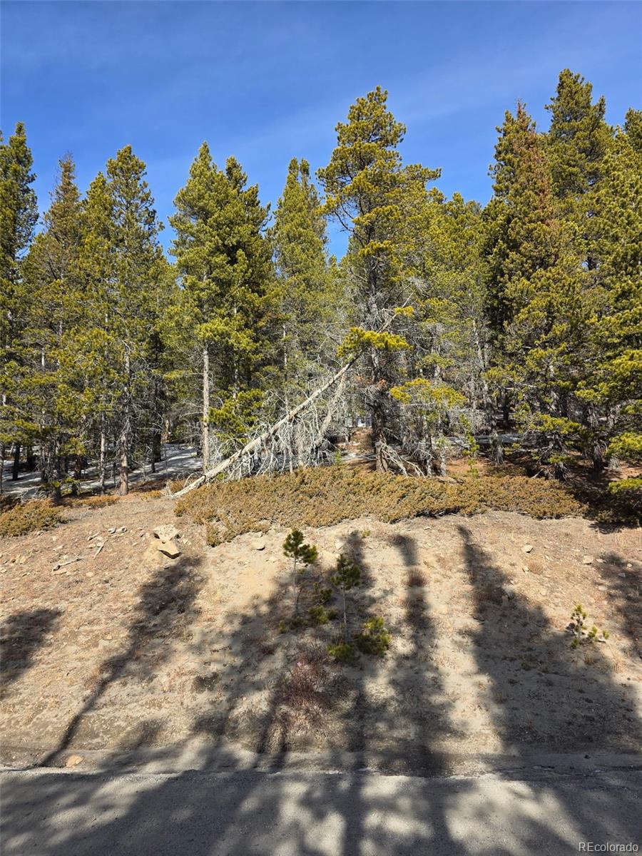 Lot 680 Alice Road Idaho Springs CO 80453