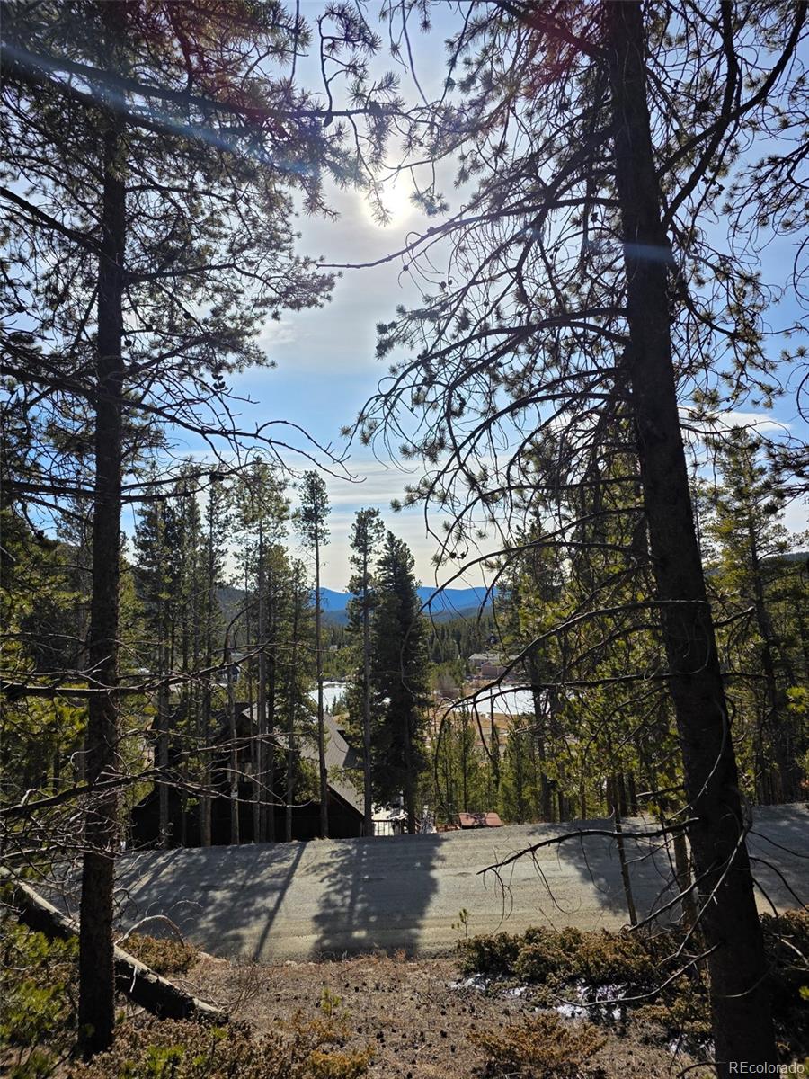 Lot 680 Alice Road Idaho Springs CO 80453