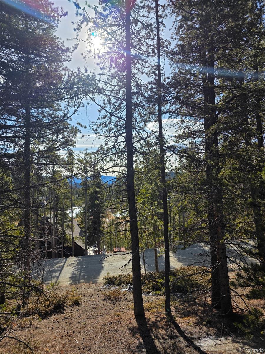 Lot 680 Alice Road Idaho Springs CO 80453