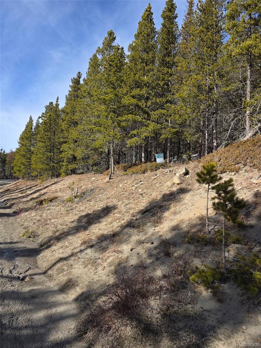 Lot 680 Alice Road Idaho Springs CO 80453