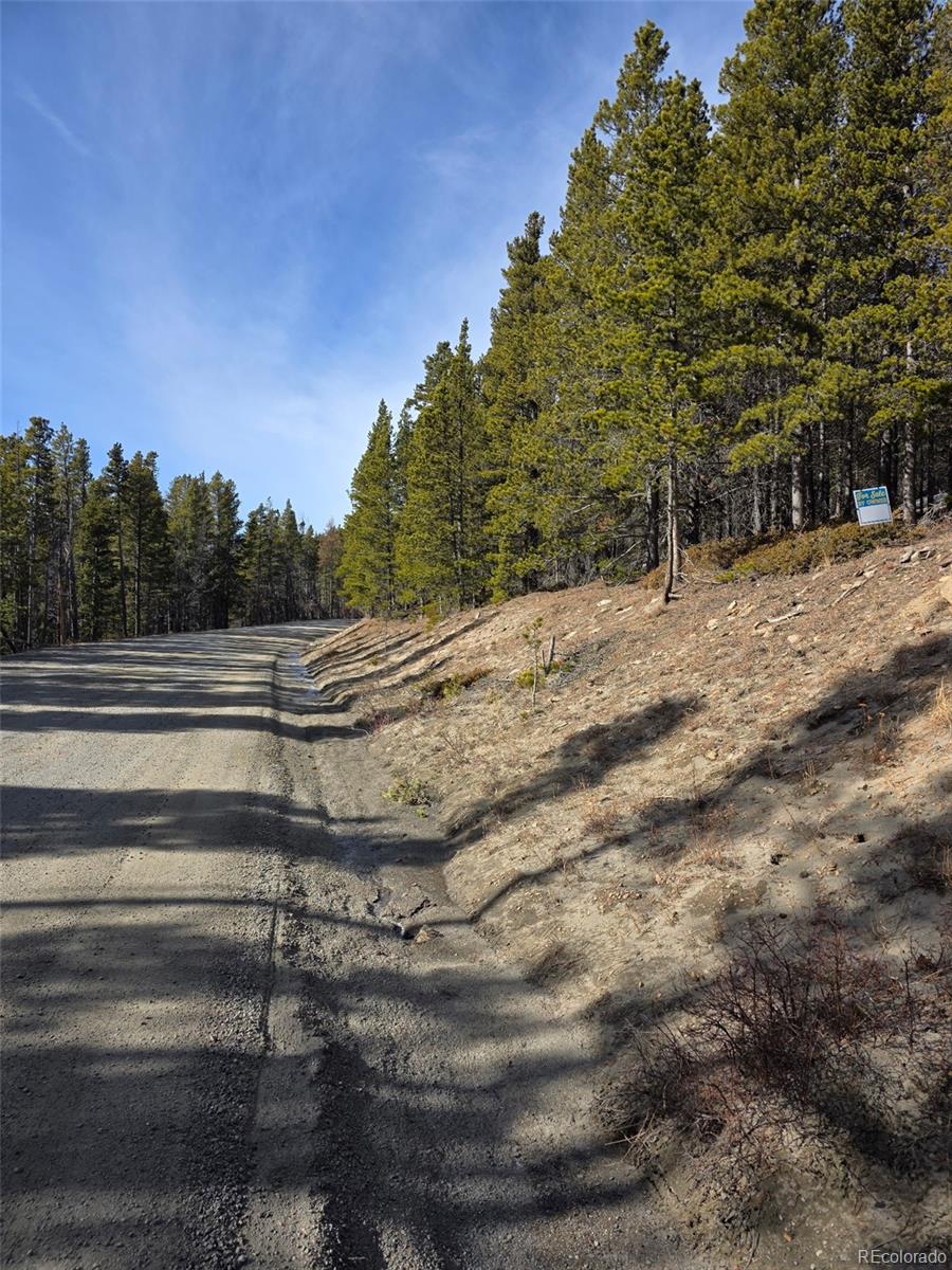 Lot 680 Alice Road Idaho Springs CO 80453
