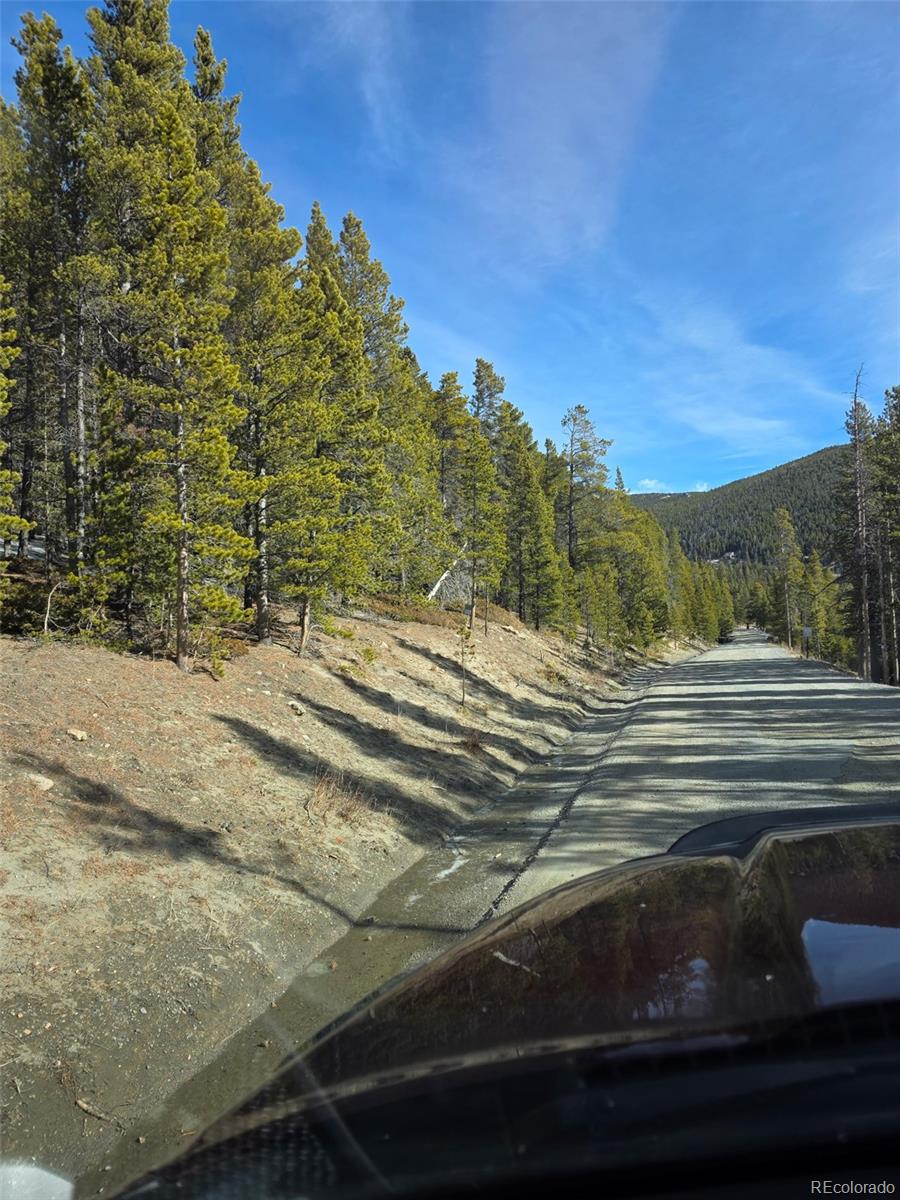 Lot 680 Alice Road Idaho Springs CO 80453