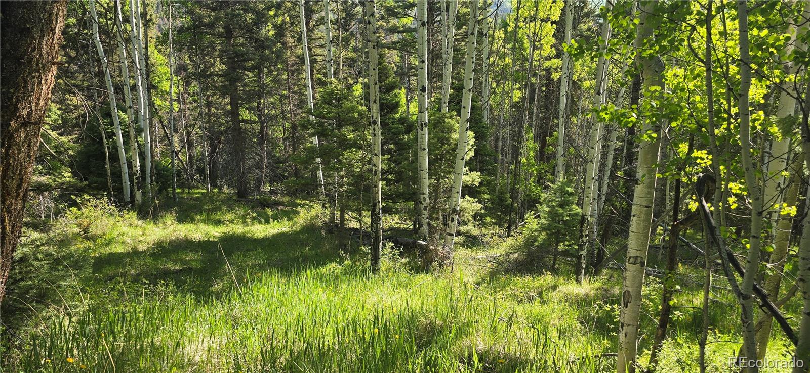 Lot 6385 Jaquez Road San Luis CO 81152