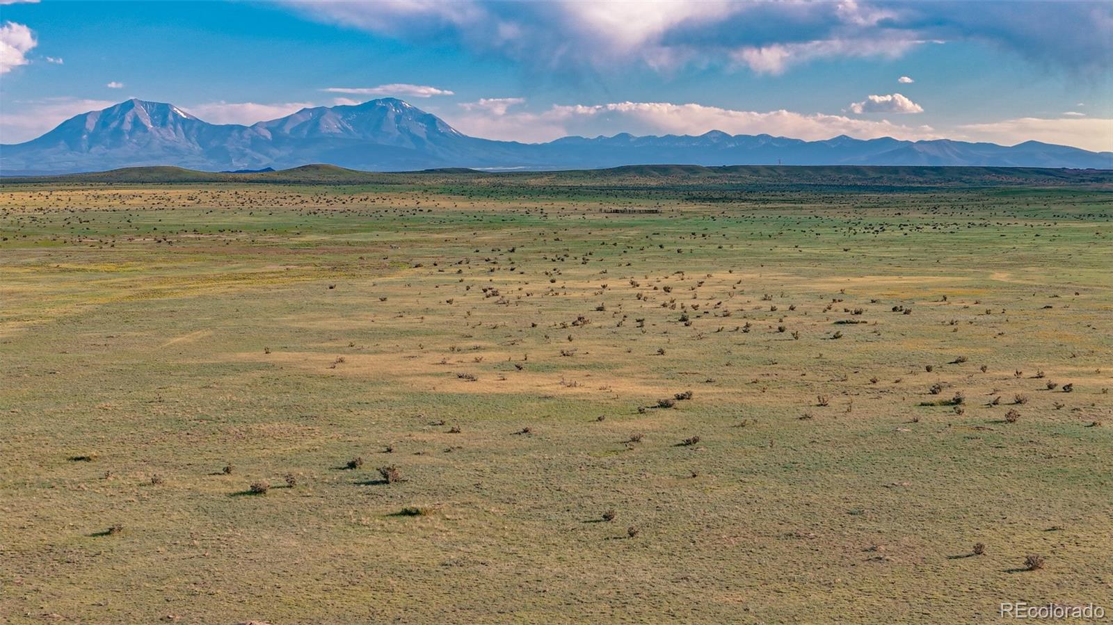210 Colorado Land And Livestock Walsenburg CO 81089