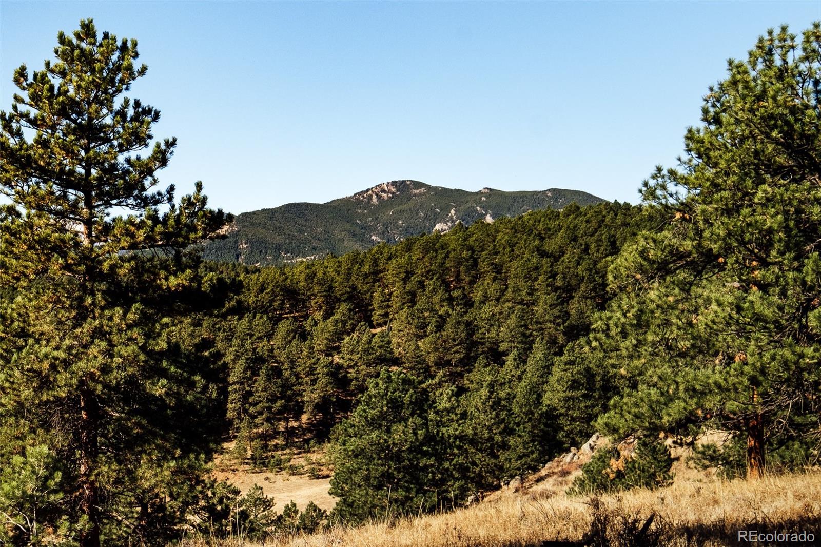 2345 Legacy Ranch Road Evergreen CO 80439
