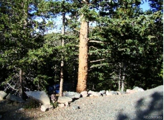Lot 89 Mine Road Idaho Springs CO 80453