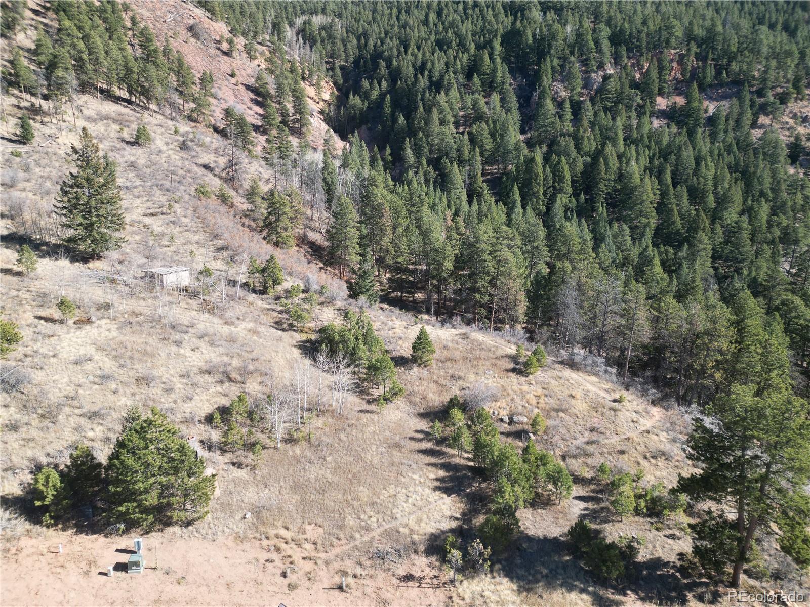 19 Blue Haven Place Woodland Park CO 80863