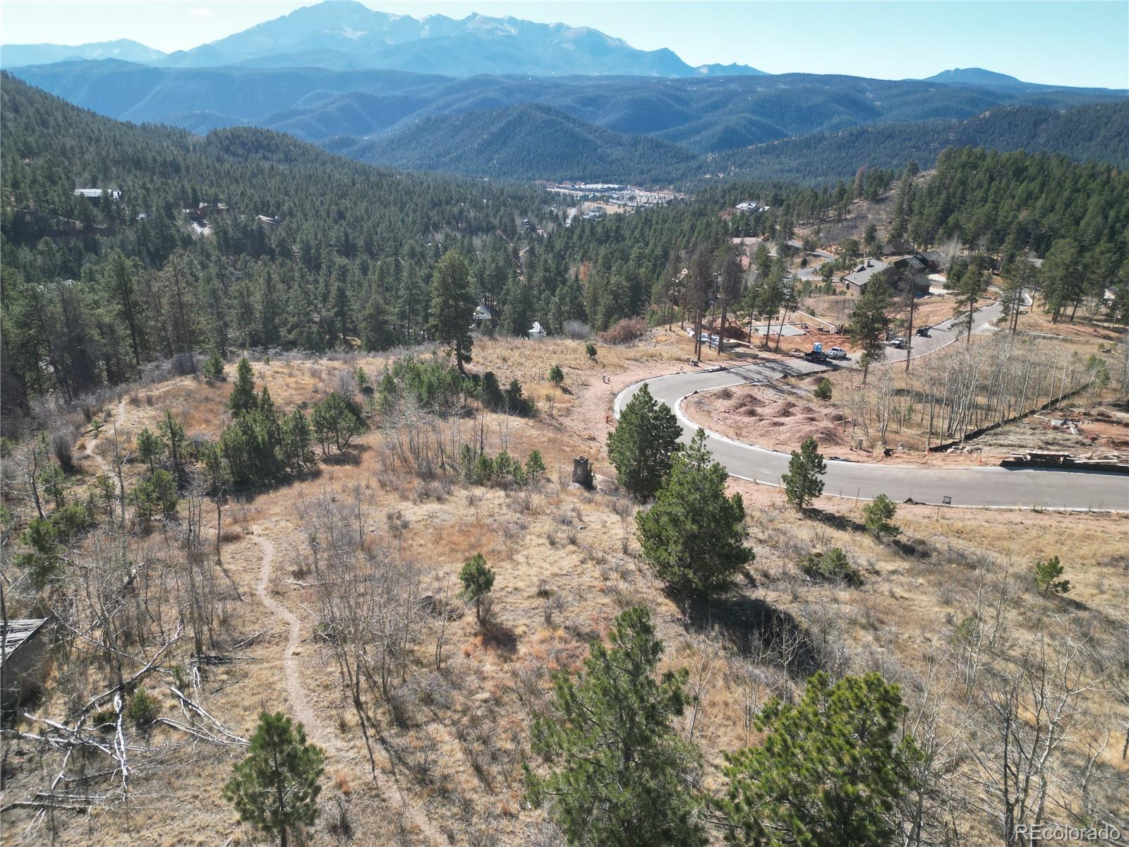 19 Blue Haven Place Woodland Park CO 80863