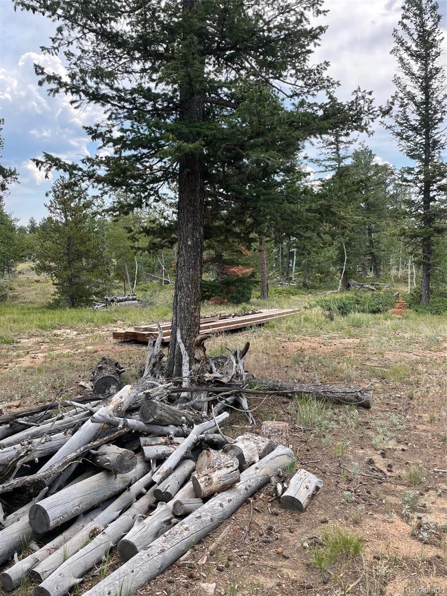 247 Sutiki Drive Red Feather Lakes CO 80545