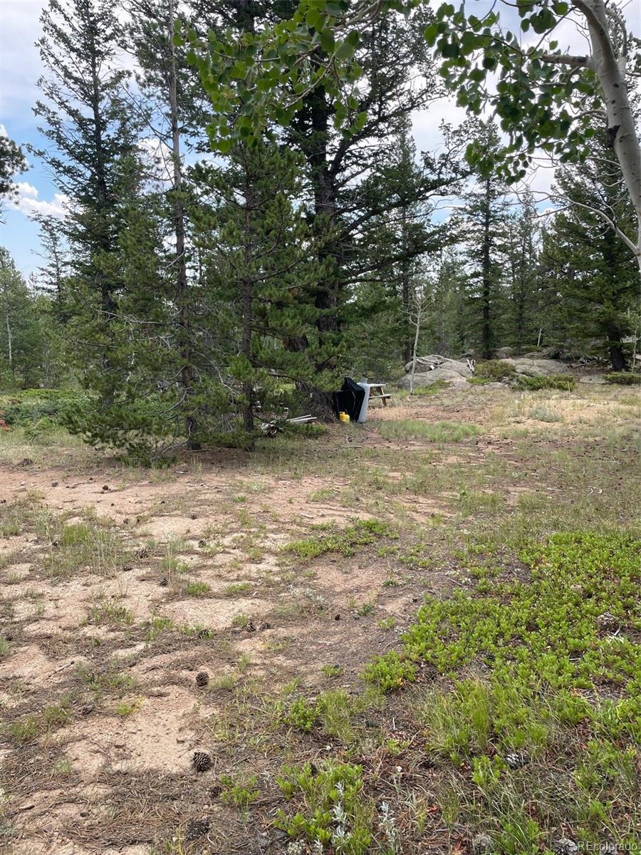 247 Sutiki Drive Red Feather Lakes CO 80545