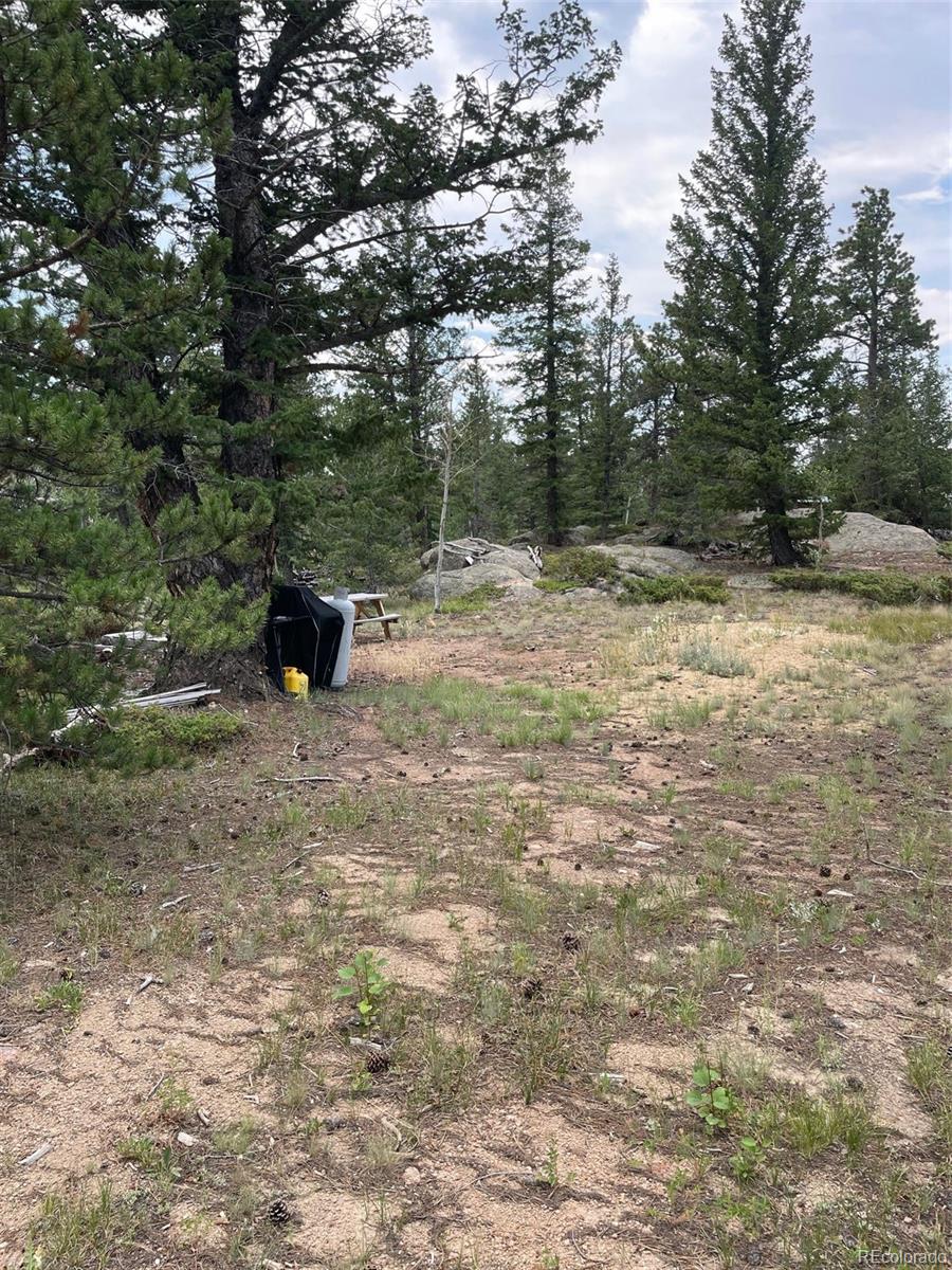 247 Sutiki Drive Red Feather Lakes CO 80545