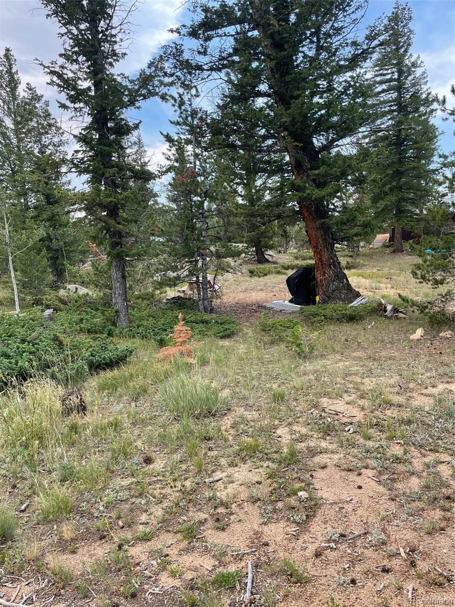 247 Sutiki Drive Red Feather Lakes CO 80545