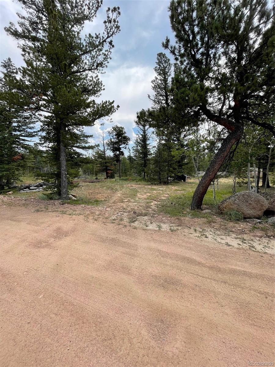 247 Sutiki Drive Red Feather Lakes CO 80545