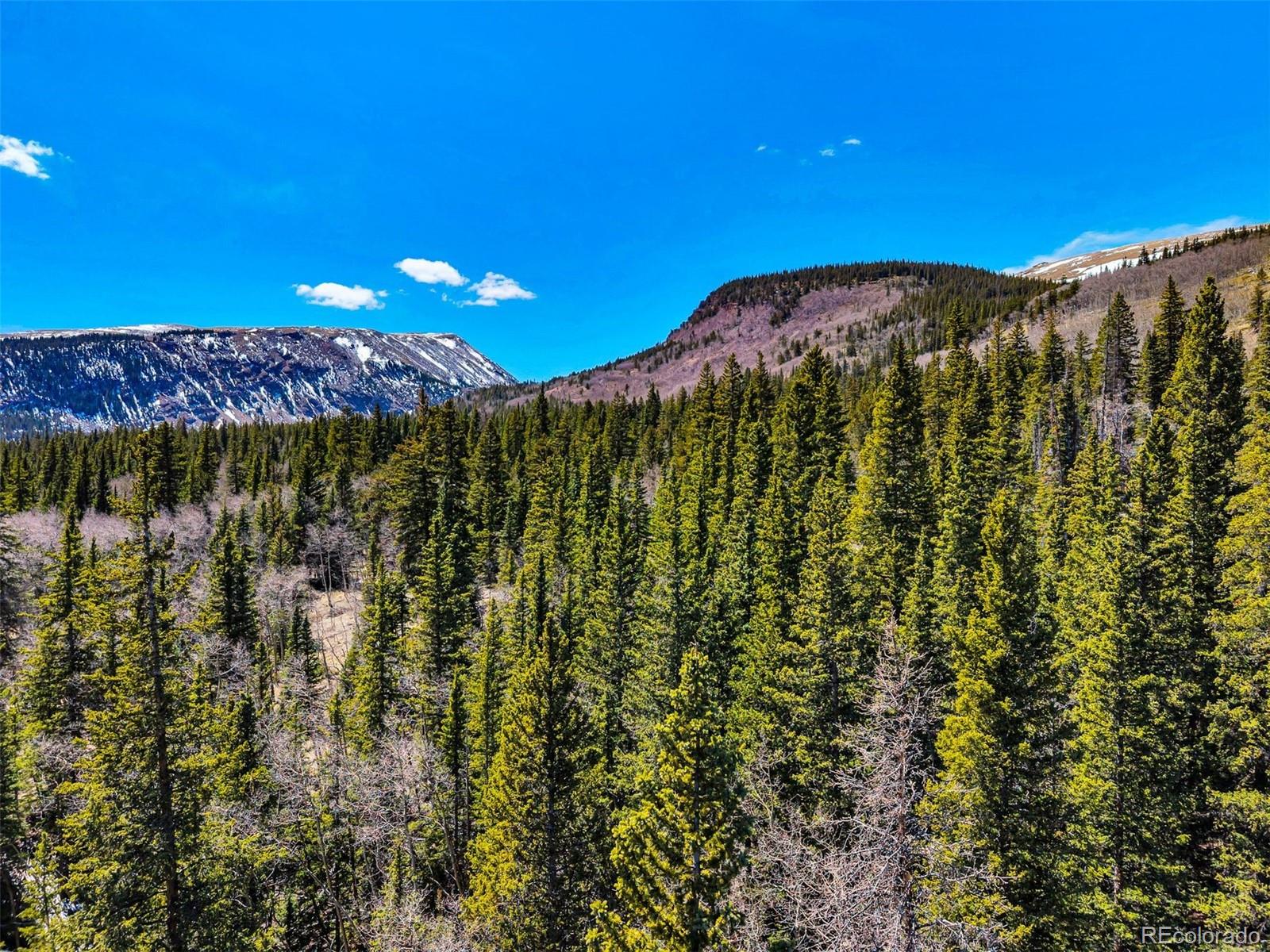 270 Co Road 667 Fairplay CO 80440