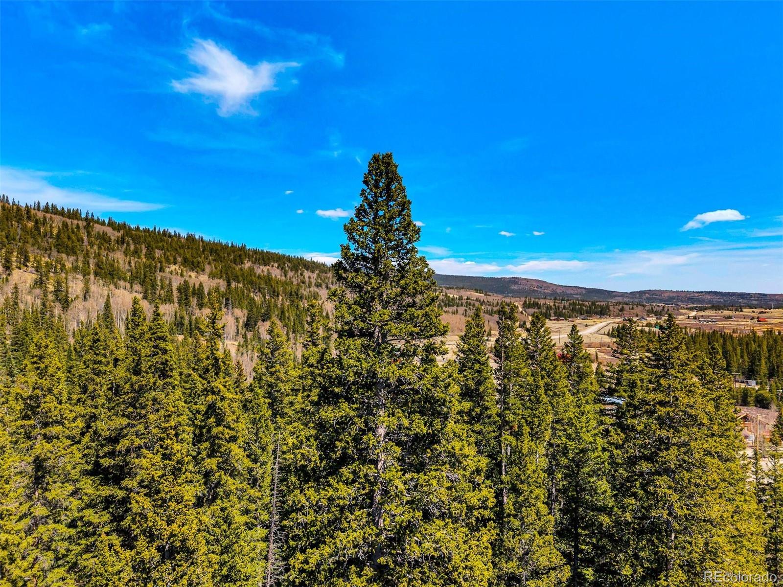 270 Co Road 667 Fairplay CO 80440
