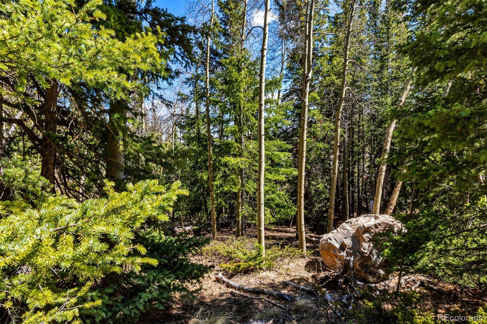 270 Co Road 667 Fairplay CO 80440