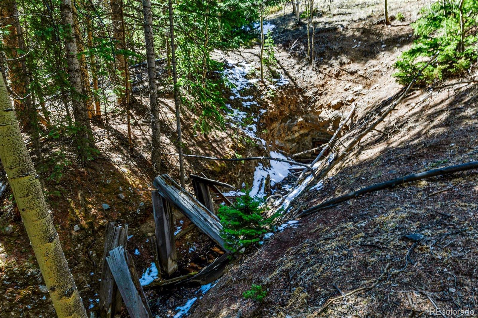 270 Co Road 667 Fairplay CO 80440