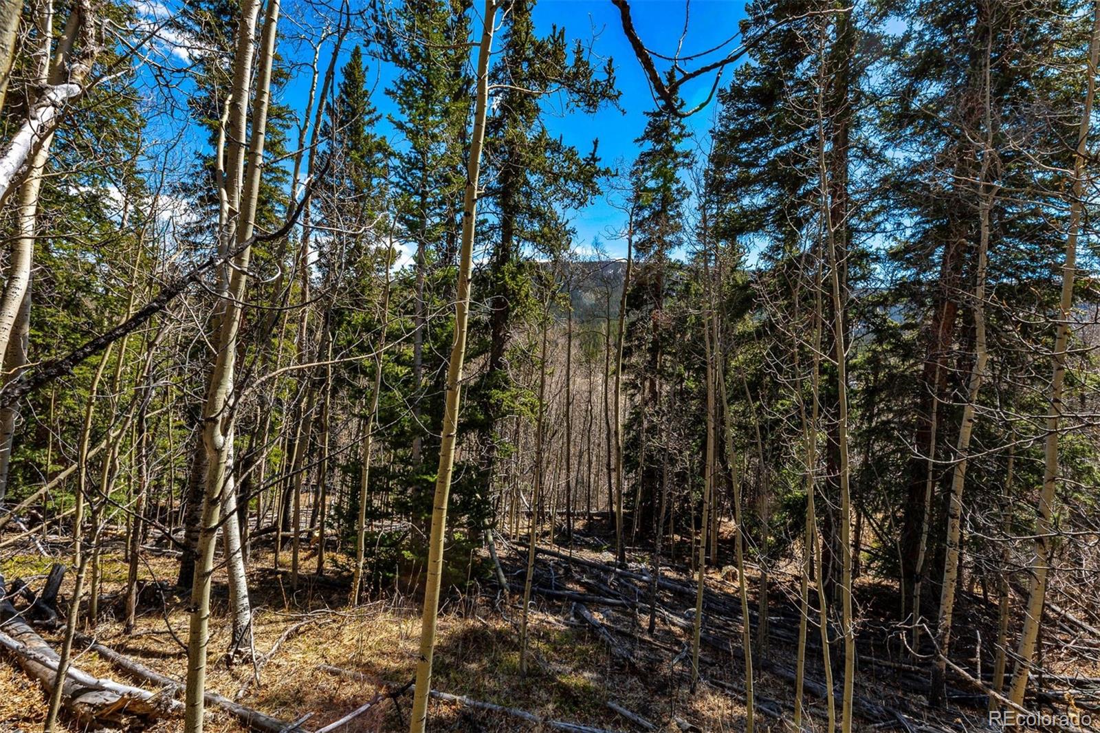 270 Co Road 667 Fairplay CO 80440