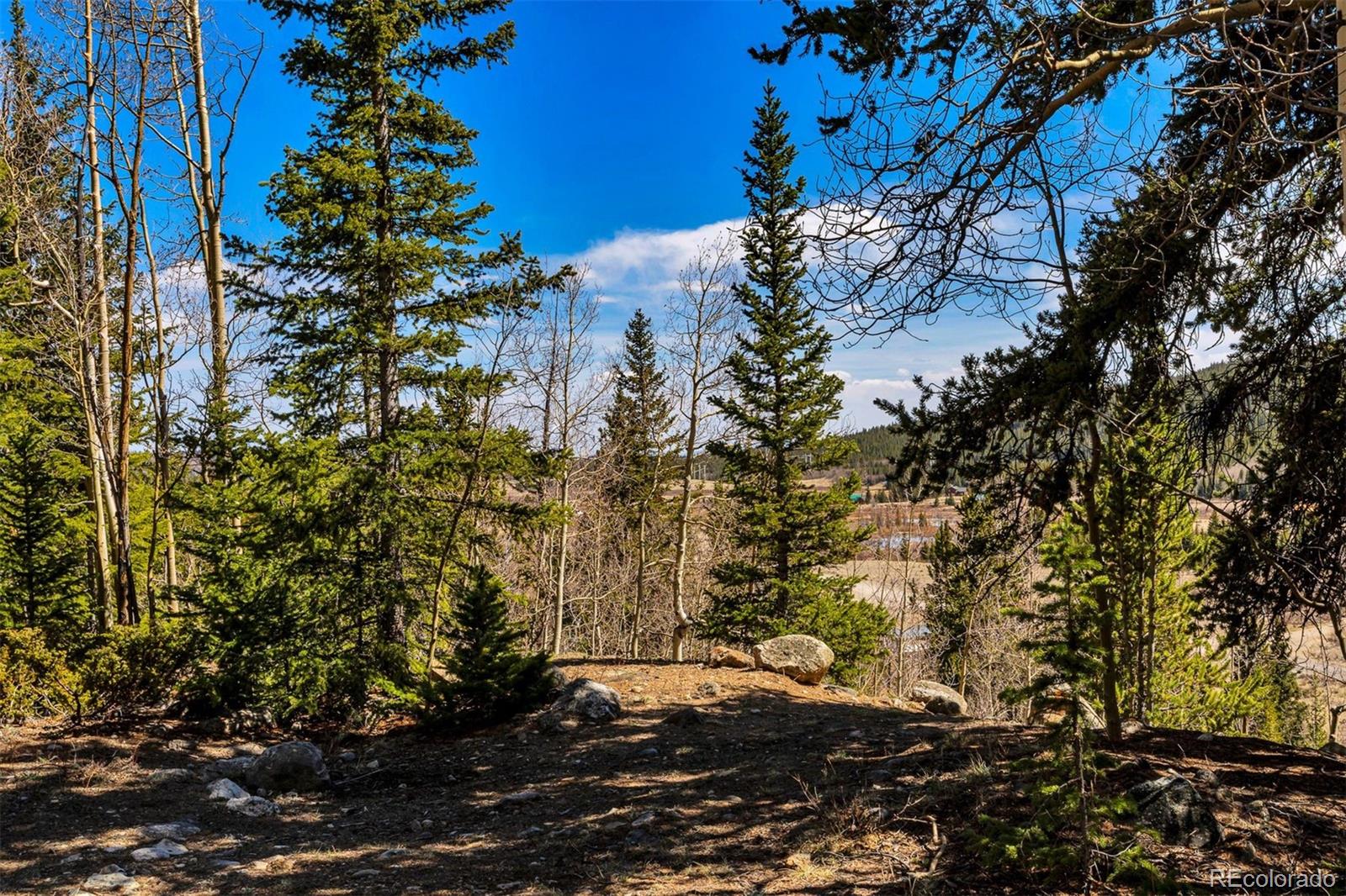 270 Co Road 667 Fairplay CO 80440