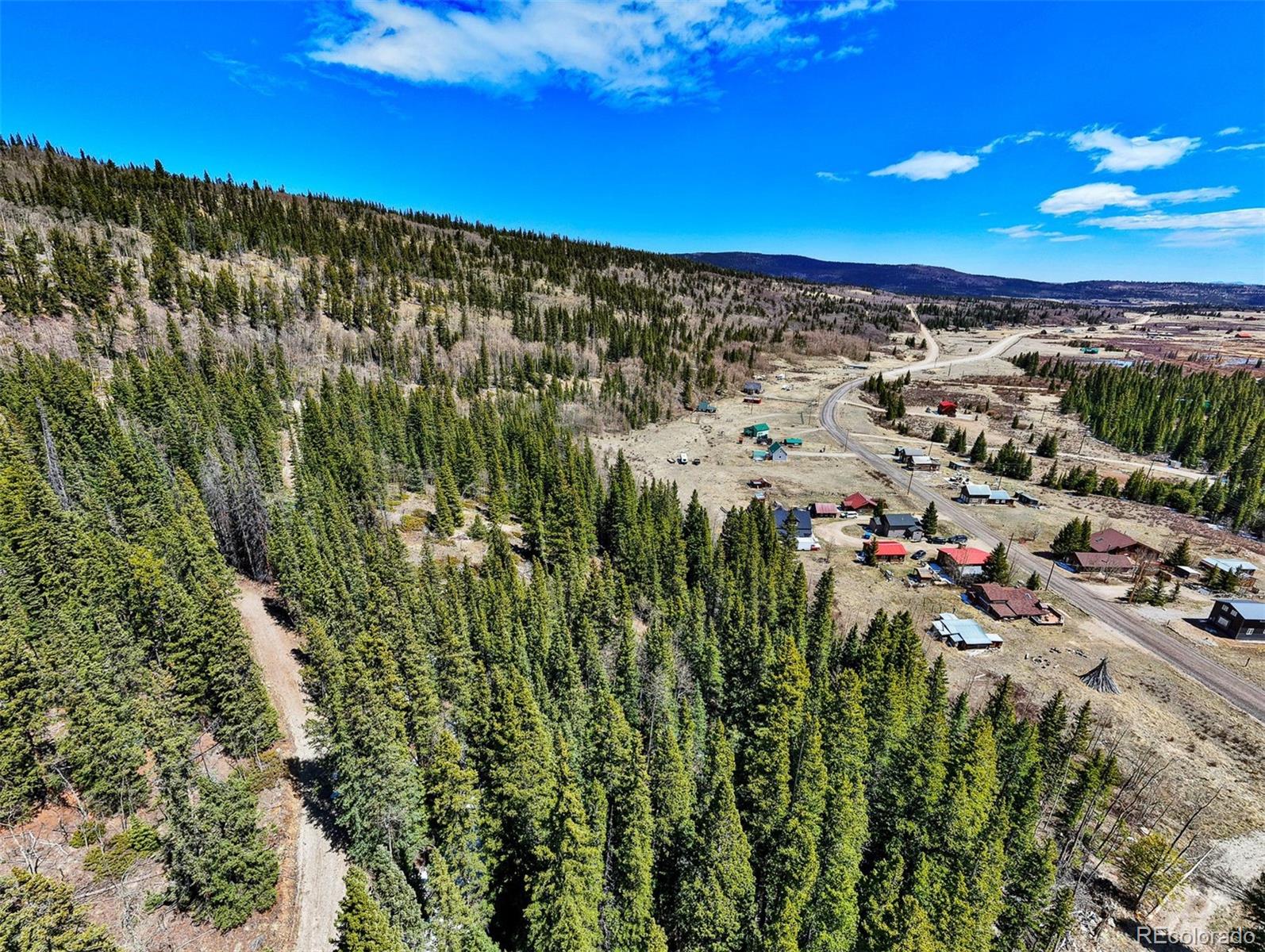 270 Co Road 667 Fairplay CO 80440