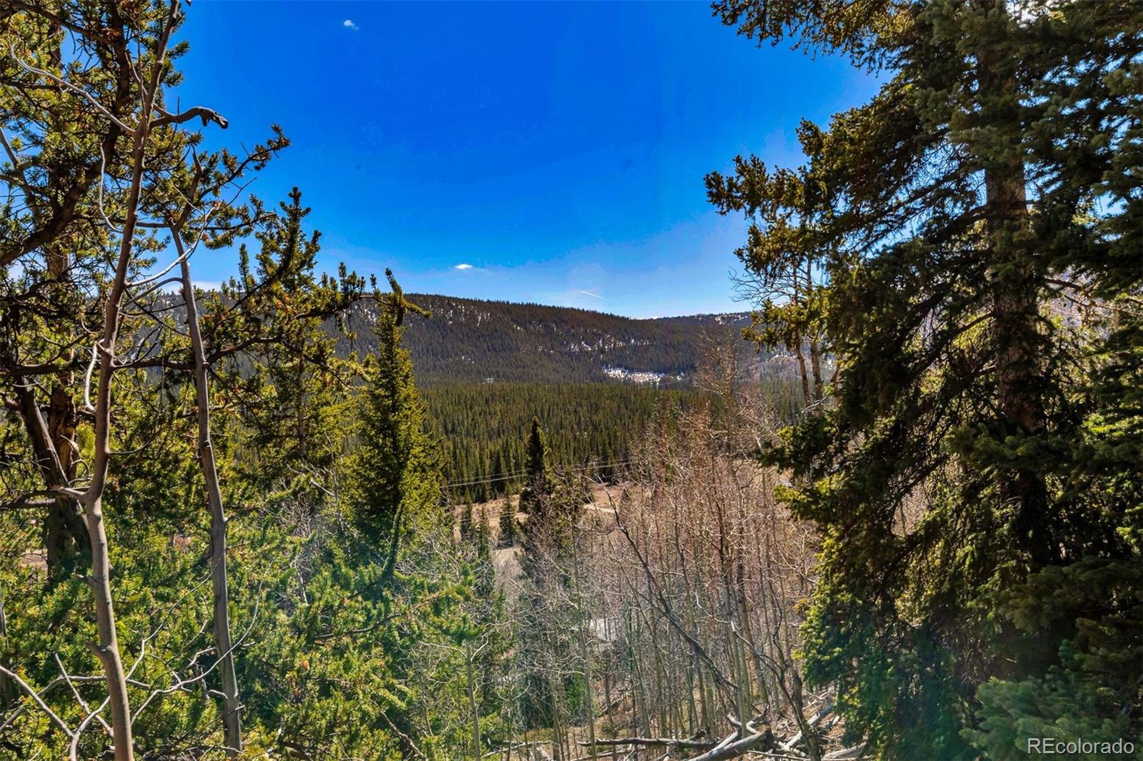 270 Co Road 667 Fairplay CO 80440