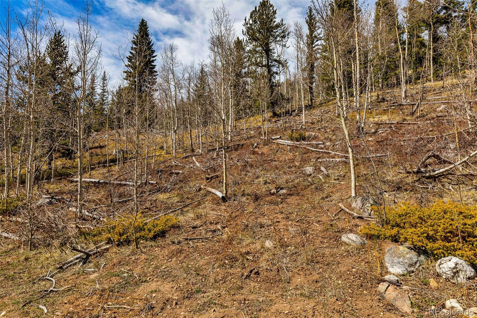 270 Co Road 667 Fairplay CO 80440