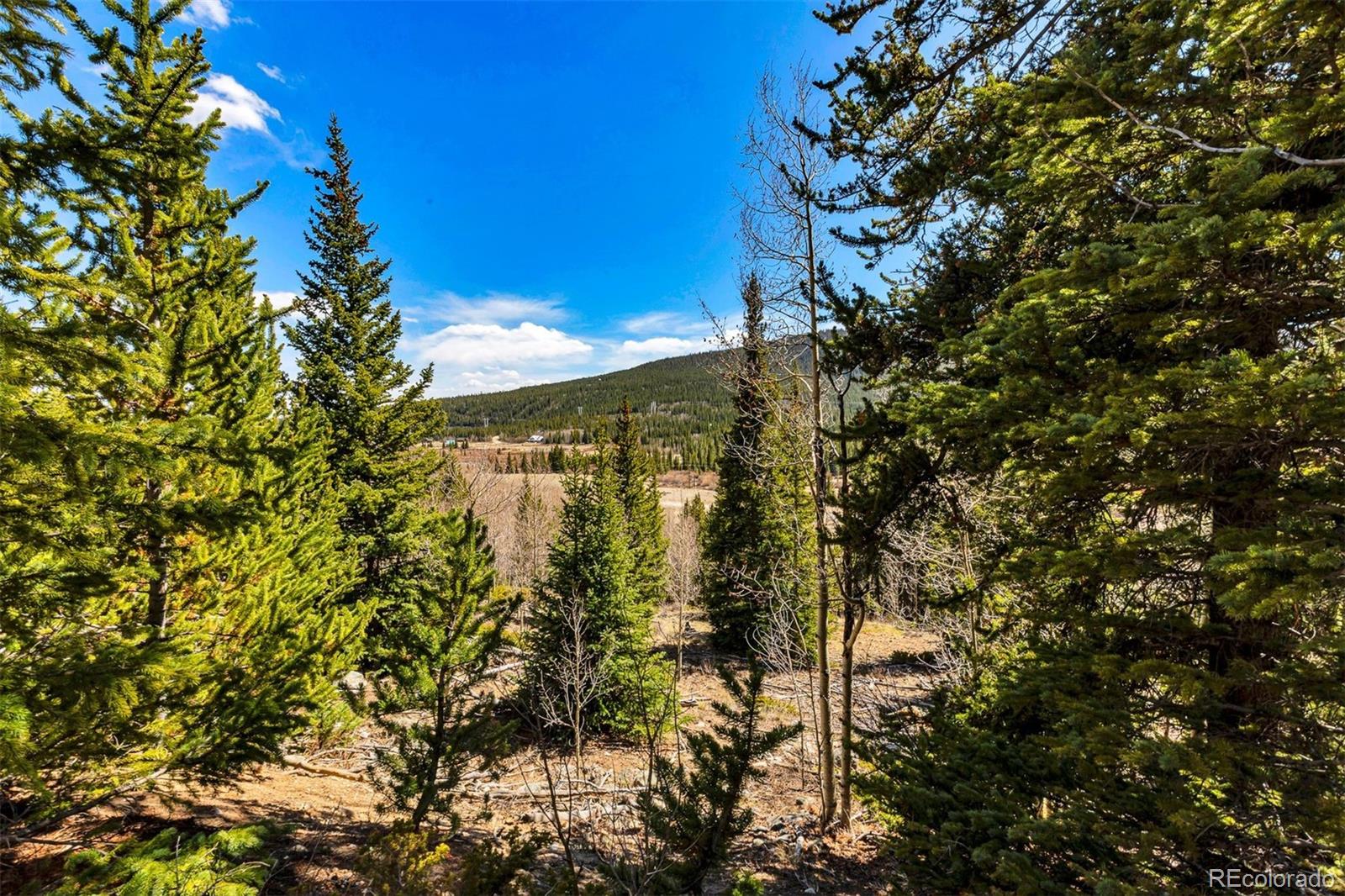 270 Co Road 667 Fairplay CO 80440