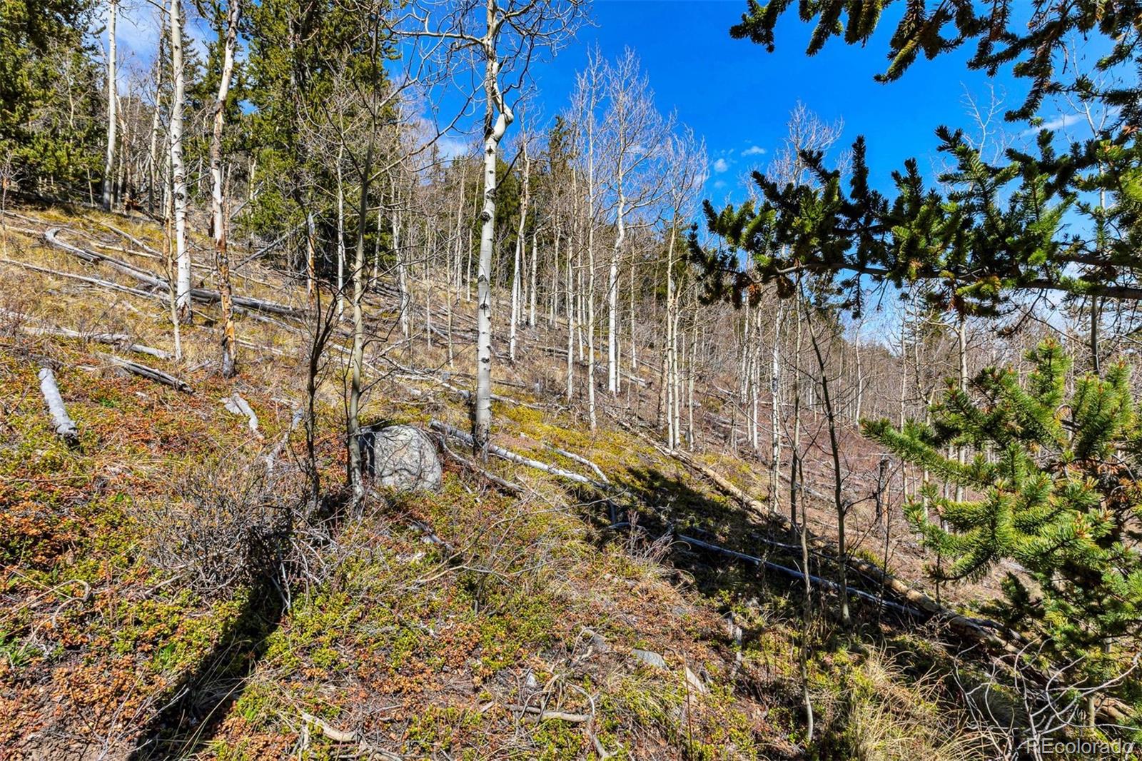 270 Co Road 667 Fairplay CO 80440