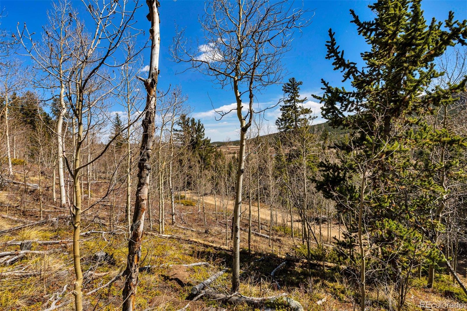 270 Co Road 667 Fairplay CO 80440