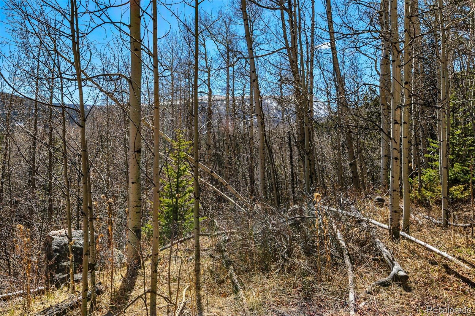 270 Co Road 667 Fairplay CO 80440