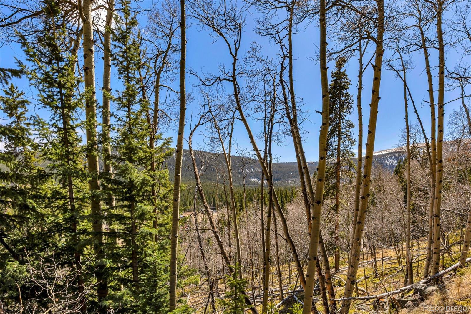 270 Co Road 667 Fairplay CO 80440
