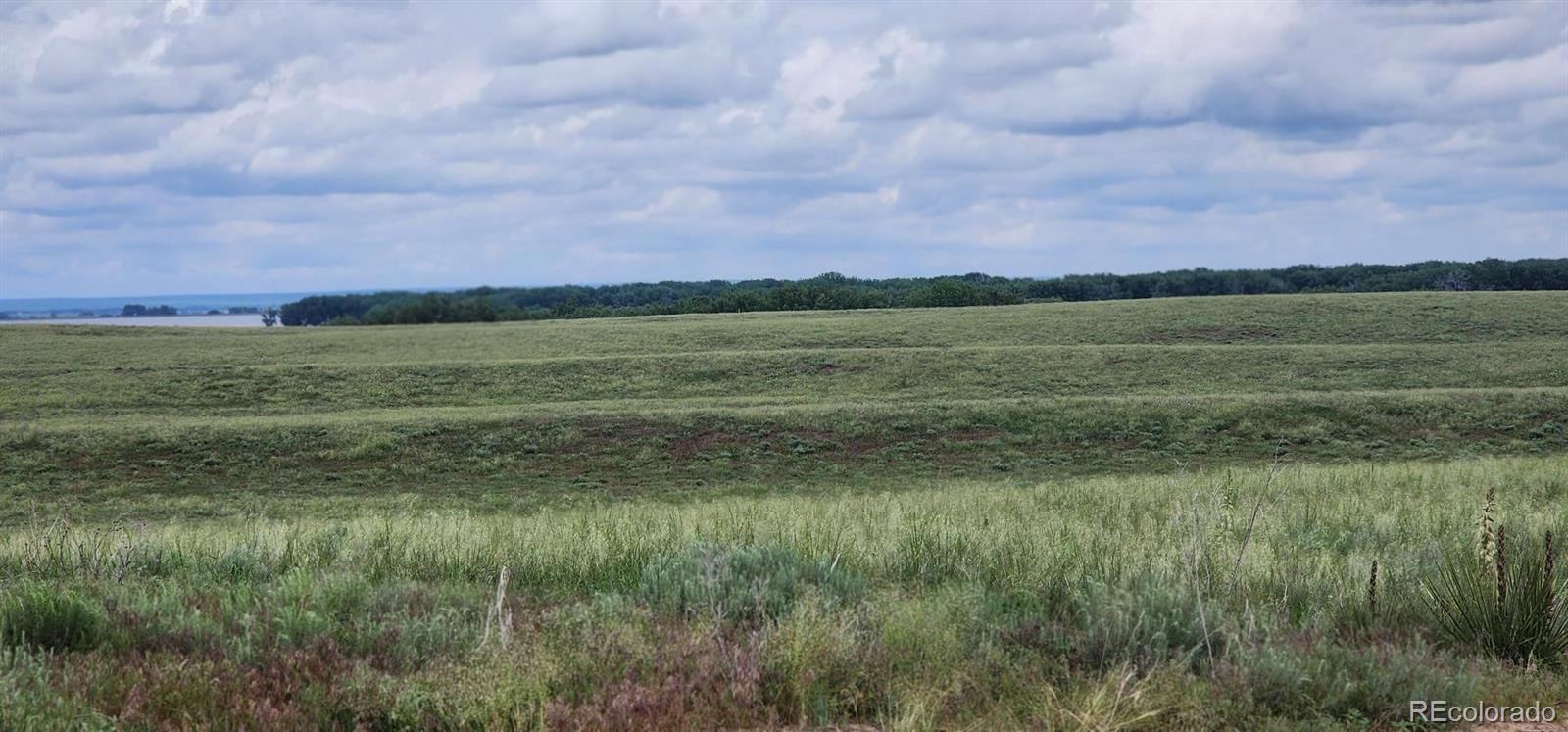 R8977763 Orchard CO 80649