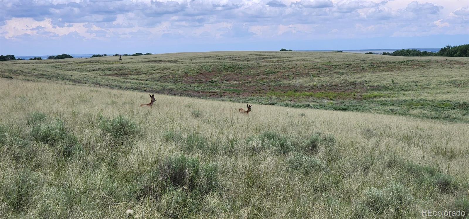 R8977763 Orchard CO 80649