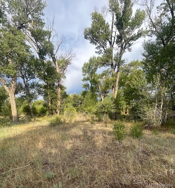 1122 Little River Lane Poncha Springs CO 81242