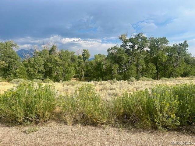 1122 Little River Lane Poncha Springs CO 81242