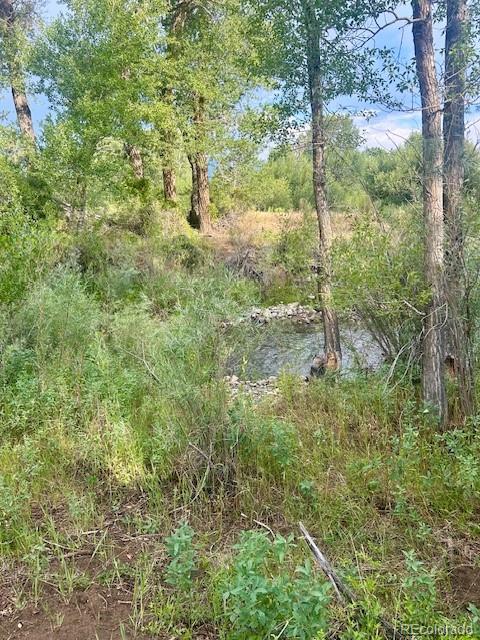 1122 Little River Lane Poncha Springs CO 81242