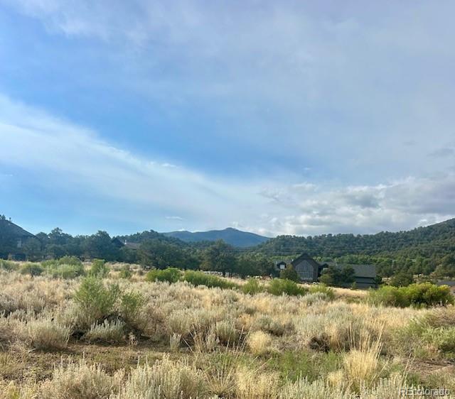 1122 Little River Lane Poncha Springs CO 81242