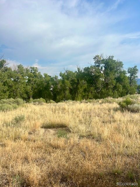 1122 Little River Lane Poncha Springs CO 81242