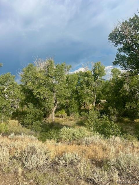 1122 Little River Lane Poncha Springs CO 81242