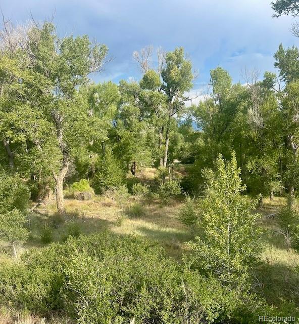 1122 Little River Lane Poncha Springs CO 81242