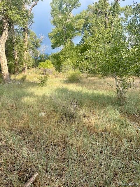 1122 Little River Lane Poncha Springs CO 81242