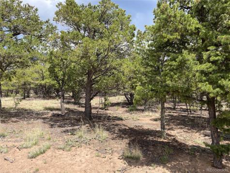 Tract 5 Philleo Annex Hemlock Street Crestone CO 81131