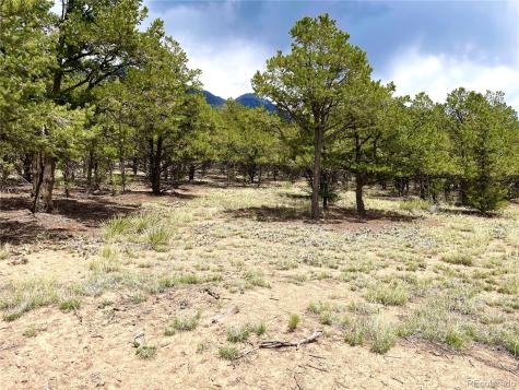 Tract 5 Philleo Annex Hemlock Street Crestone CO 81131