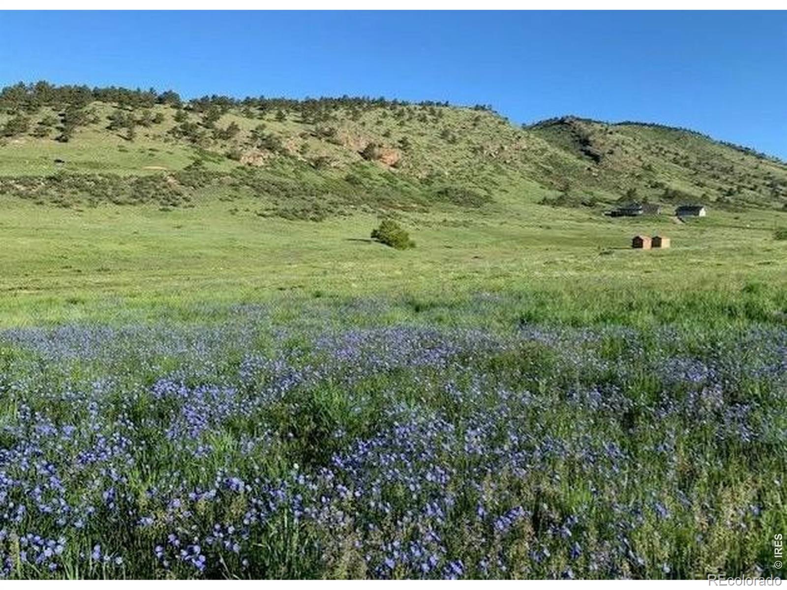 223 Stone Canyon Road Lyons CO 80540