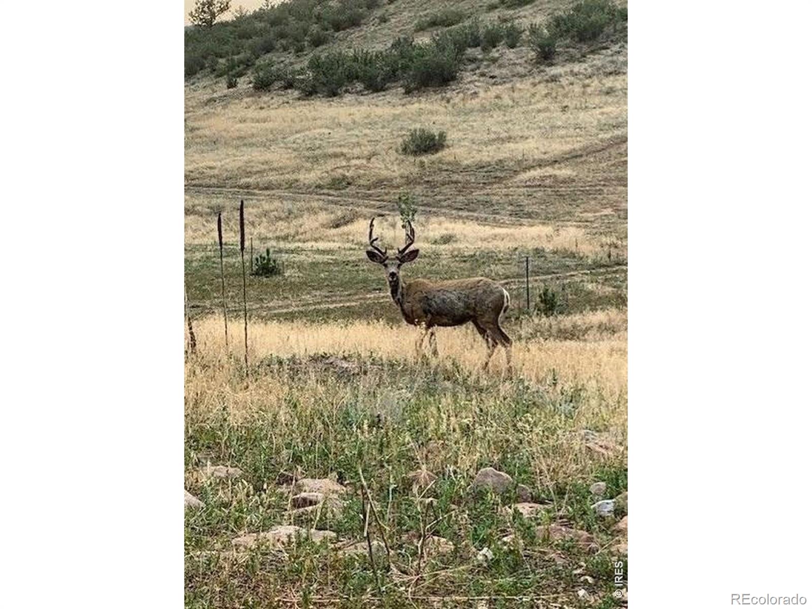223 Stone Canyon Road Lyons CO 80540