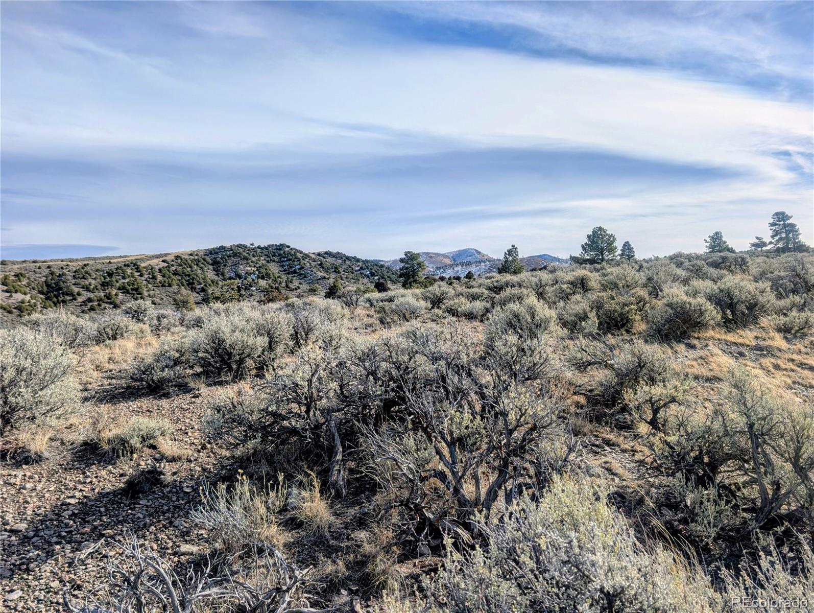 Lot 4822 Spencer Road Fort Garland CO 81133