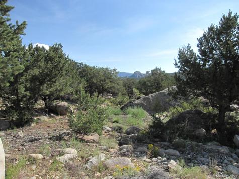 30036 Teal Run Buena Vista CO 81211
