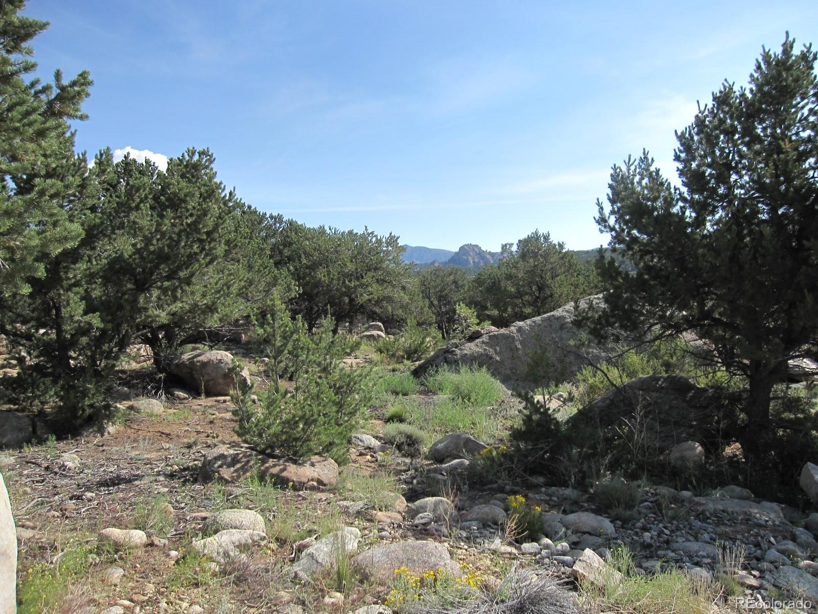 30036 Teal Run Buena Vista CO 81211